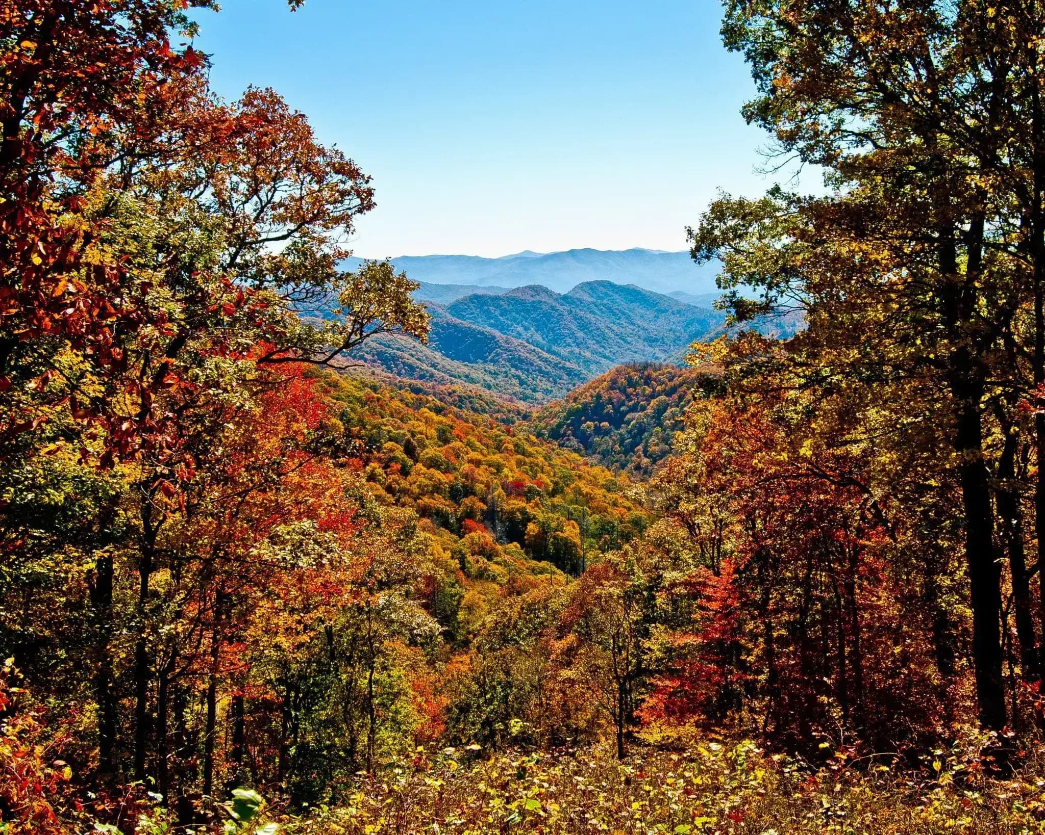 Autumn in the Smokies