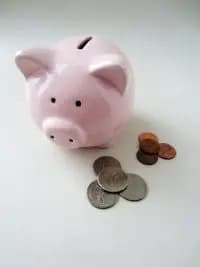 Piggy Bank