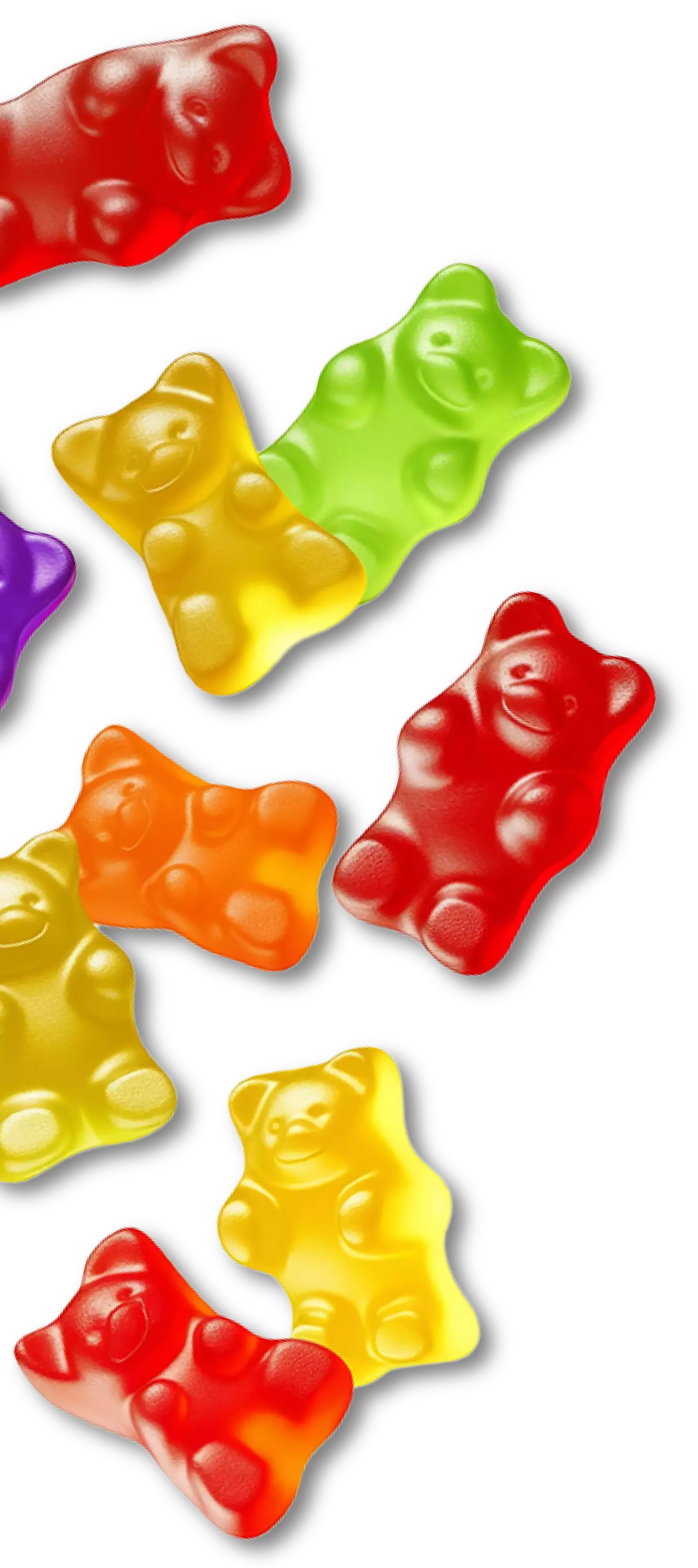 gummy bears