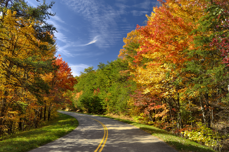 fall colors in the smokies